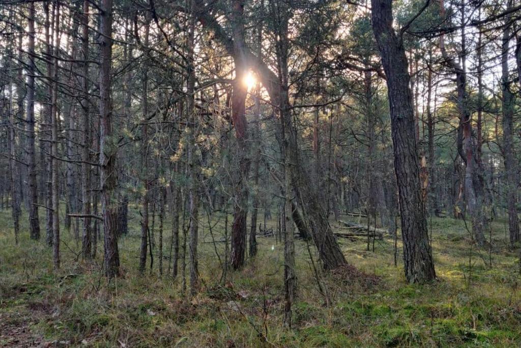 Your Private Hytte Smołdzino Exteriör bild